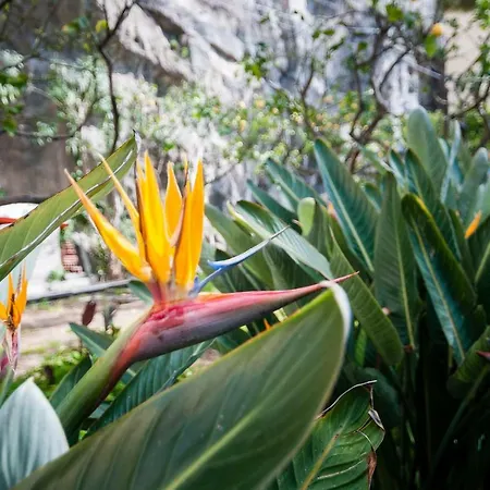 Casa Il Capriccio, Spiaggia Grande Dom wakacyjny *