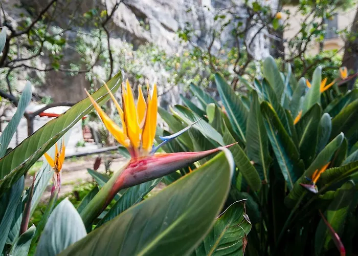 Casa Il Capriccio, Spiaggia Grande Ferienhaus *